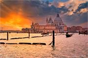 VENICE21 (13)